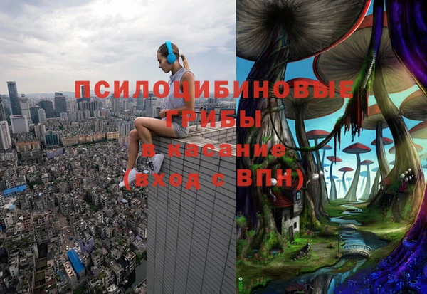 mix Надым